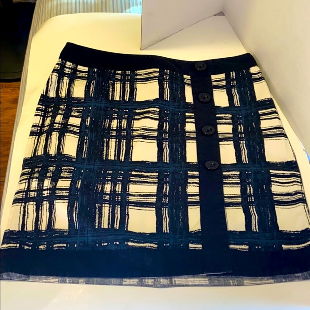 Ann Taylor Skirt
